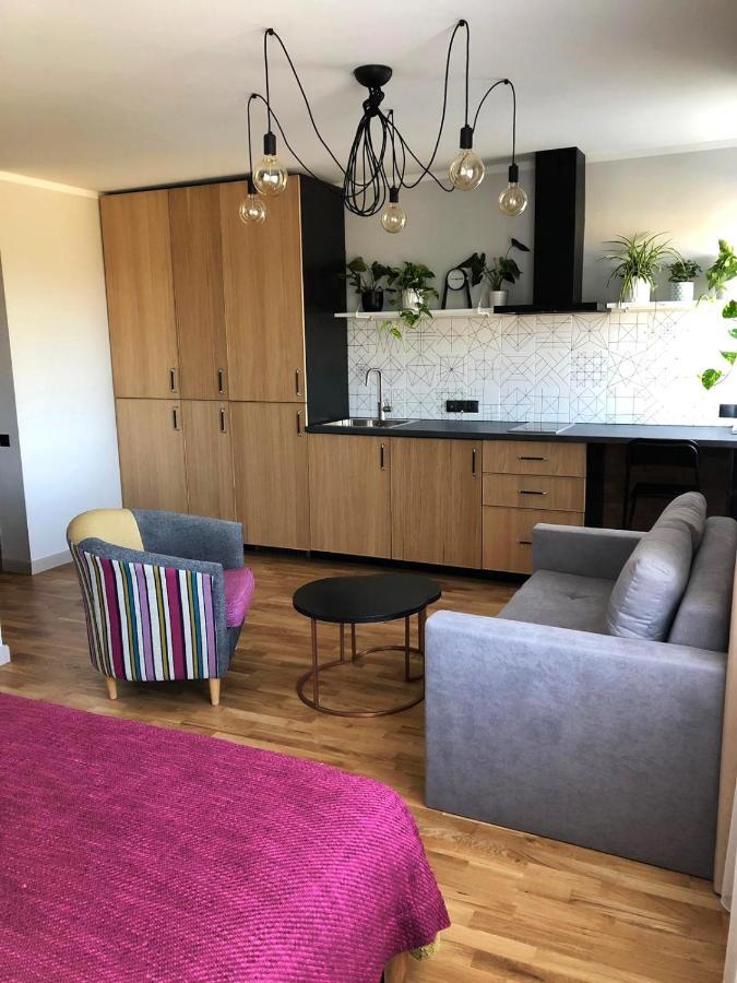 Kaktuss Apartamenti Smiltene Luaran gambar