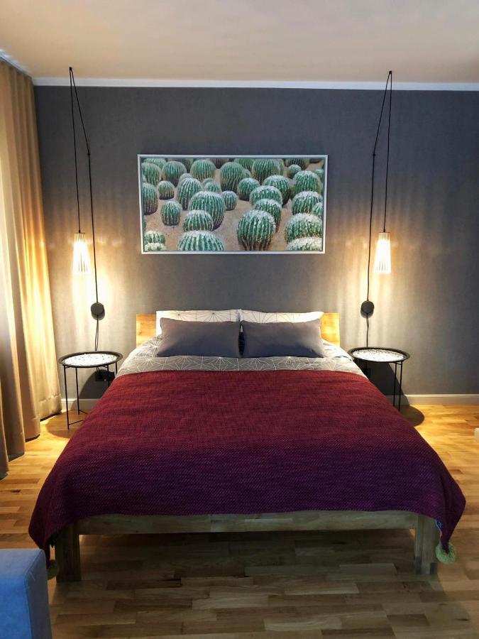 Kaktuss Apartamenti Smiltene Luaran gambar